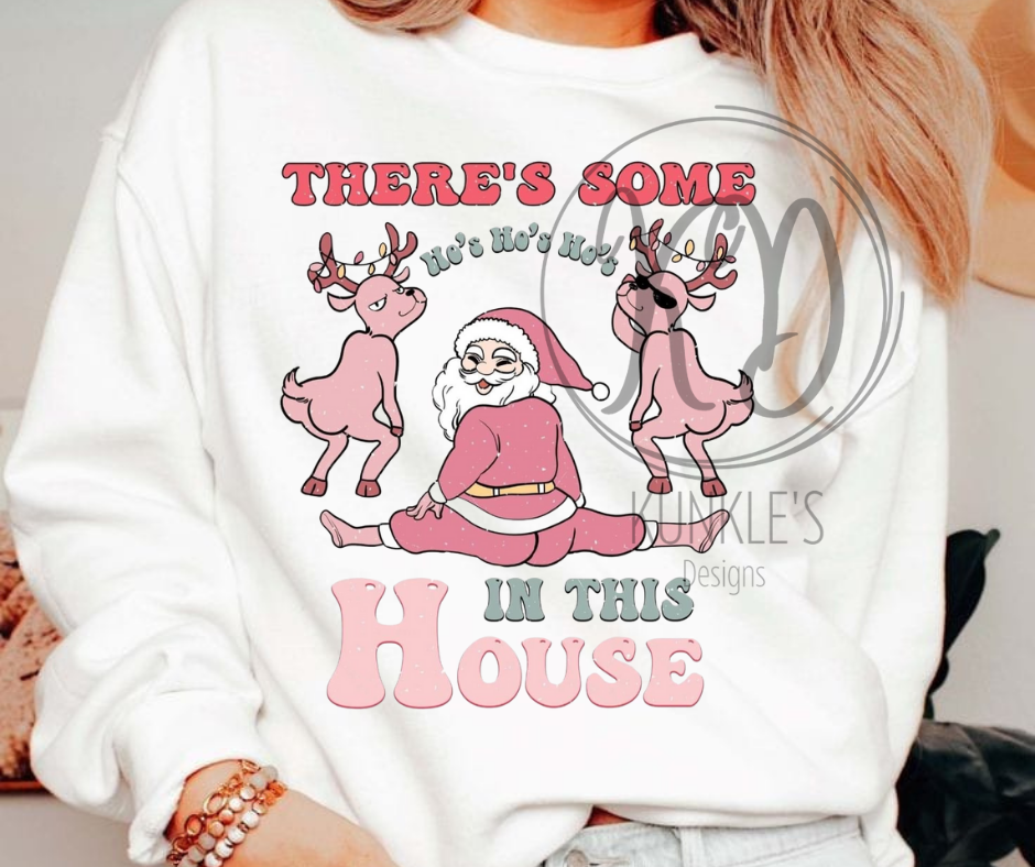 There's Some Ho Ho Ho's In This House Graphic Apparel